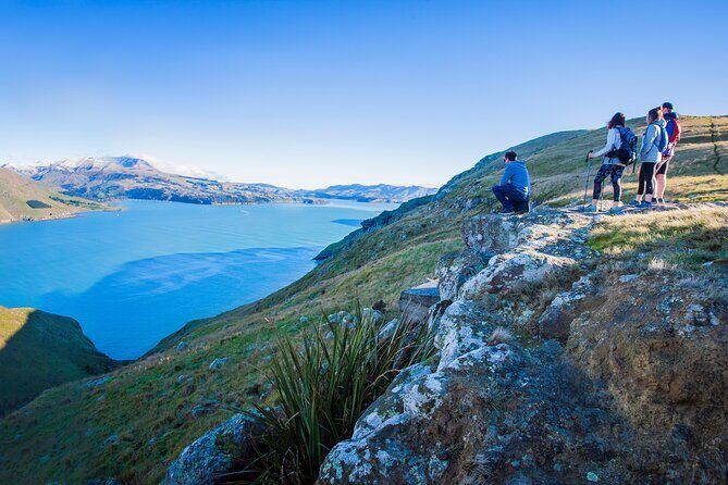 Half Day Guided Walking Tour on Banks Peninsula - Transportation and Logistics