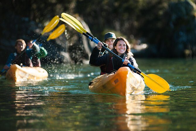 Half-Day Kayak Tour on Lake Wanaka - Who Will Appreciate This Tour Most?