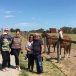 Half Day Living Legends tour with Devonshire Tea - Final Thoughts