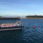 Half Day Low Island and Lagoon Snorkeling from Port Douglas - The Value of This Experience