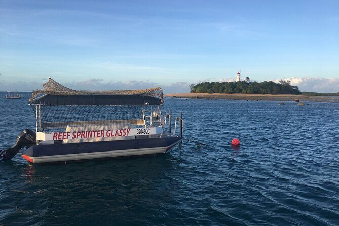 Half Day Low Island and Lagoon Snorkeling from Port Douglas - The Value of This Experience