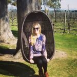 Half-Day Marlborough Wine Tour & Beer Tour - Introduction: What Makes This Tour Stand Out?