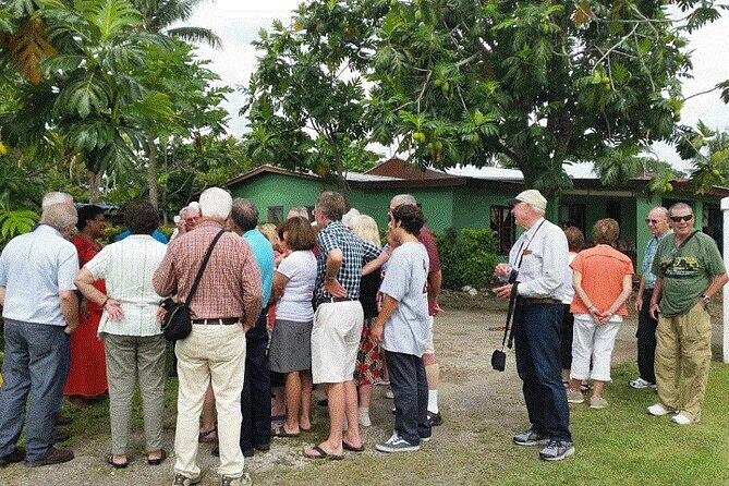 Half Day Mudpools, Veseisei Fijian Village, Gardens of Sleeping Giants &Shopping - Why This Tour Offers Great Value