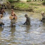 Half Day Nadi Sightseeing & Mud Pool Tour - Authentic Experiences and Practical Tips