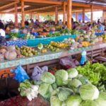 Half Day Nadi Tour incls Sri Siva Temple, Orchid Gardens,Local Village & Markets - An In-Depth Look at the Nadi Half-Day Tour