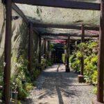 Half Day Nadi Tour Temple, Market, Gardens and Mud Pools - Detailed Review: A Closer Look at the Tour Experience