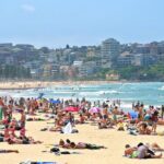 Half-Day or Full-Day Private Guide Hire From Sydney - Whats Included and What to Keep in Mind