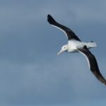 Half-Day Private City, Sights & Wildlife Tours - Why This Tour Is a Great Choice