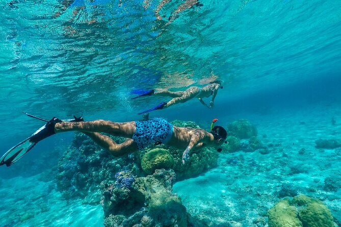 Half Day Private Lagoon Snorkeling Experience - The Authenticity and Value of the Tour