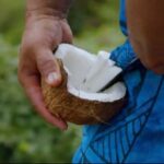 Half day Private tour of Moorea Safari Albert Pick up hotel - Final Thoughts