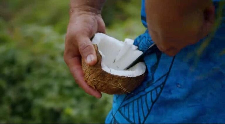 Half day Private tour of Moorea Safari Albert Pick up hotel - Final Thoughts