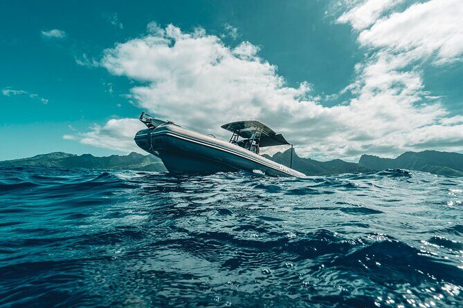 Half Day Private Whale Watching in Moorea - Final Thoughts: Is It Worth It?