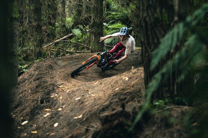 Half-Day Self-Guided Mountain Bike Journey through Whakarewarewa Redwood Forest - Authentic Experiences and Real Customer Feedback