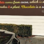 Half Day Sightseeing and Taste Tour - Who Will Love This Tour?