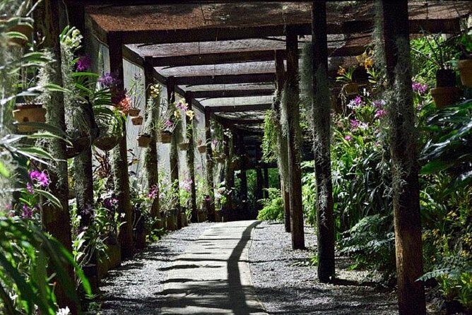 Half Day Sightseeing - Wonders of Nadi Tour - Exploring the Itinerary: What You’ll Experience