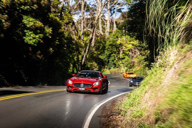 Half-Day Supercar Drive Experience from Auckland - The Sum Up