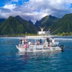Half day Tahiti Peninsula and Teahupoo boat tour (shared boat) - The Experience and the Guides
