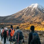Half Day Tongariro Alpine Guided Group Walk - What Makes This Tour Special