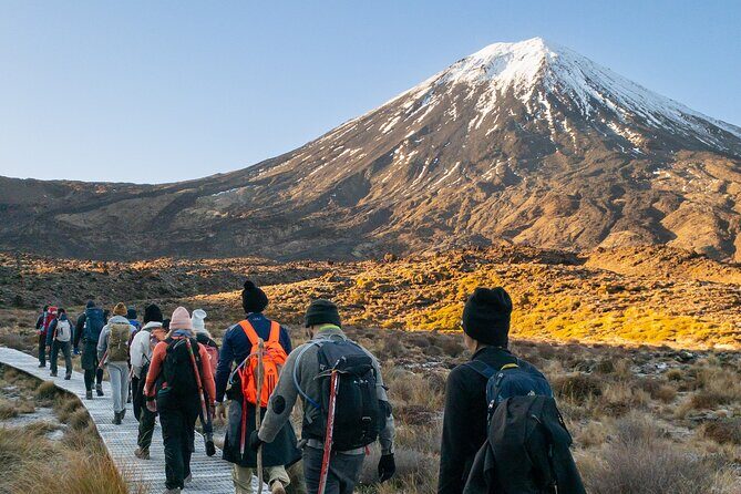 Half Day Tongariro Alpine Guided Group Walk - What Makes This Tour Special