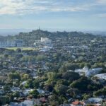 Half-Day Tour: AUCKLAND CITY Highlights with Hotel Pickup - What Travelers Love and What to Consider