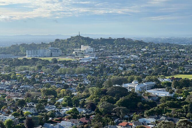 Half-Day Tour: AUCKLAND CITY Highlights with Hotel Pickup - What Travelers Love and What to Consider