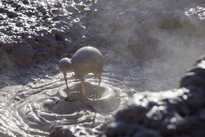 Half-Day Tour - Ex Rotorua: WAI-O-TAPU Thermal Wonderland - Final Thoughts: Is This Tour Right for You?