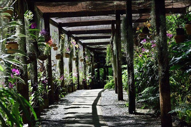 Half Day Tour from Nadi includes Local Markets, Orchid Gardens and Local Village - Shore Excursions - The Highlight: Garden of the Sleeping Giant