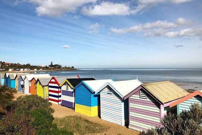 Half Day Tour in Melbourne City Highlights - Price and Value