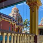 Half Day Tour in Nadi - Who Would Love This Tour?