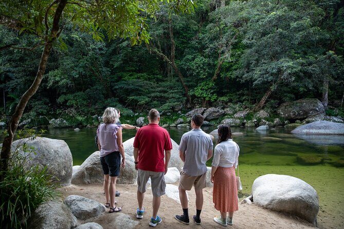 Half Day Tour to Daintree Rainforest and Mossman Gorge - An In-Depth Look at the Tour Experience