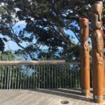 Half-Day Volcano Tour from Auckland - The Practicalities: What You Need to Know