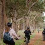 Half Day Wadandi Track Scenic E-Bike Tour - Final Thoughts
