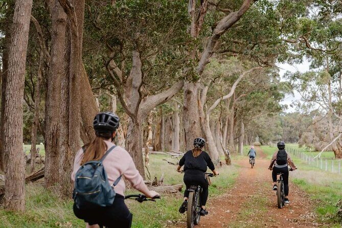 Half Day Wadandi Track Scenic E-Bike Tour - Final Thoughts