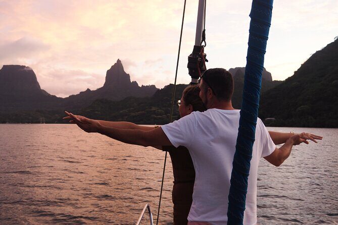 Half day whale watching - Without launch - Who Should Consider This Tour?