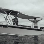 Half day Whales watching PRIVATE group - What to Expect During the Tour