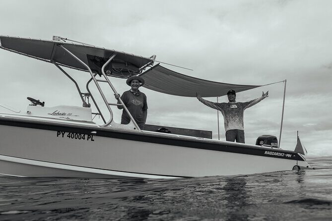 Half day Whales watching PRIVATE group - What to Expect During the Tour