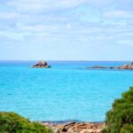 Half day Wine and Sights Discovery Tour Busselton - The Value in the Details