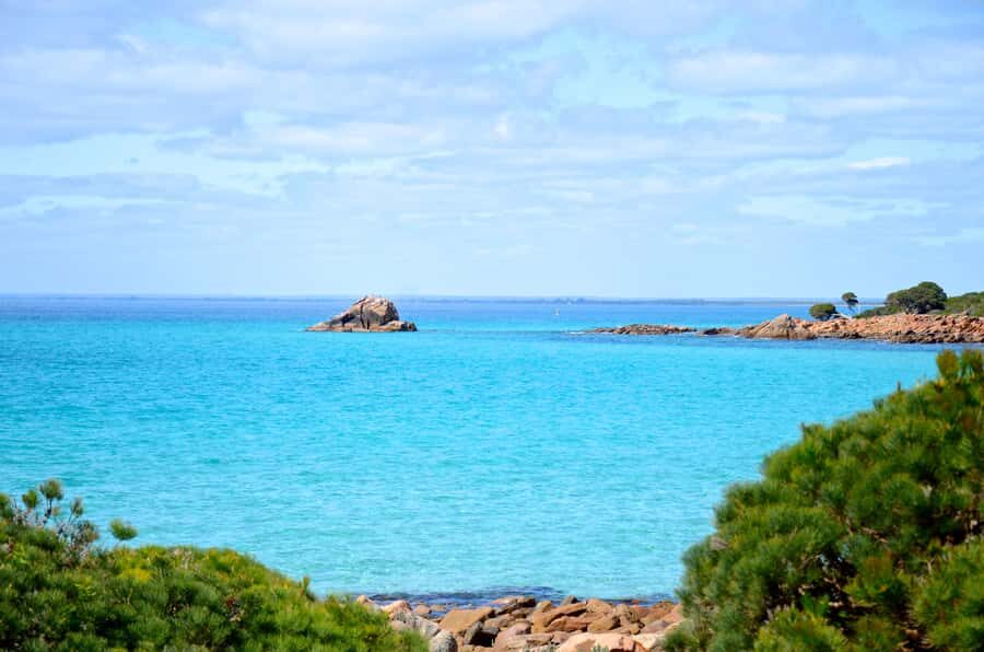 Half day Wine and Sights Discovery Tour Busselton - The Value in the Details