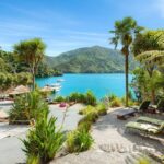 Happy Hour Cruise to Lochmara -from Picton? Take a short cruise - What’s Included and What’s Not