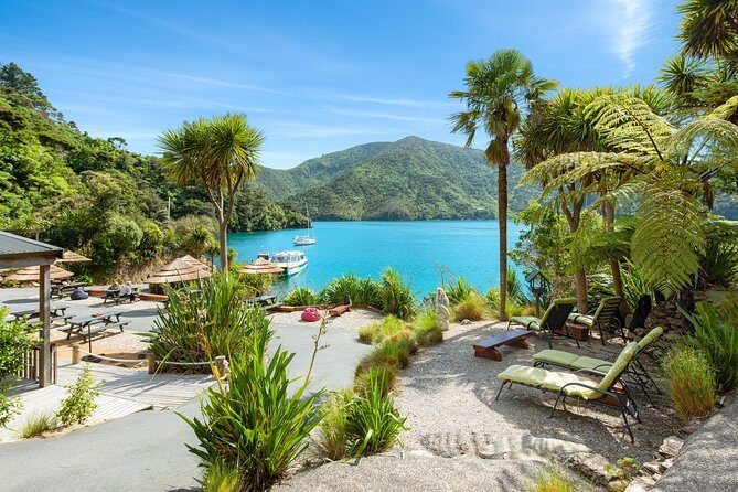 Happy Hour Cruise to Lochmara -from Picton? Take a short cruise - What’s Included and What’s Not