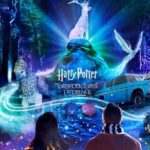 Harry Potter A Forbidden Forest Experience in Brisbane Australia - Key Points