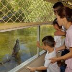 Hartley Crocodile Park with Kuranda, Skyrail Cableway and Train - Skyrail Rainforest Cableway: Breathtaking Views & Rainforest Stops