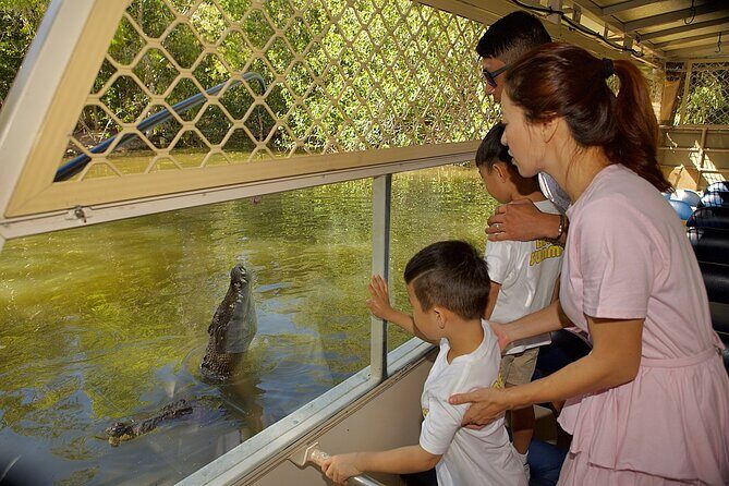 Hartley Crocodile Park with Kuranda, Skyrail Cableway and Train - Skyrail Rainforest Cableway: Breathtaking Views & Rainforest Stops