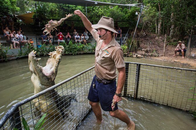 Hartley's Crocodile Adventures Day Trip from Palm Cove - Who Is This Tour Perfect For?