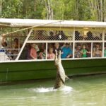 Hartleys Crocodile Adventures Half-Day Tour from Cairns - The Itinerary in Detail