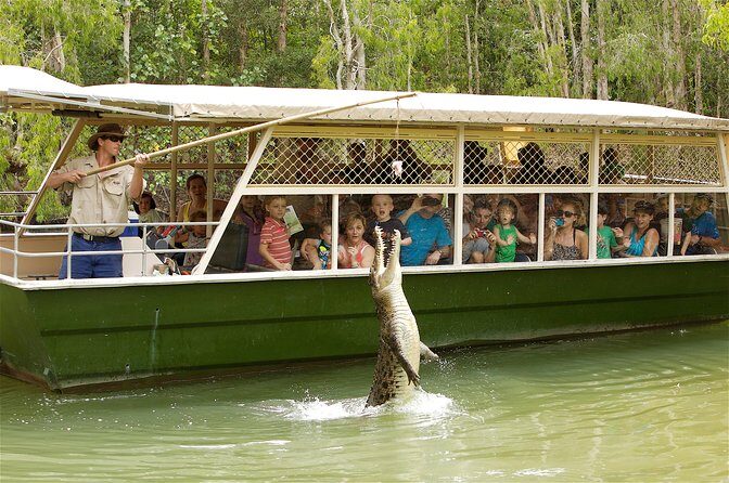 Hartleys Crocodile Adventures Half-Day Tour from Cairns - The Itinerary in Detail