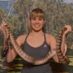 Hartley's Crocodile Adventures Park Entry - Educational Shows and Demonstrations