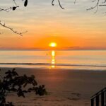 Hartleys Crocodile Adventures Plus Return Port Douglas Transfers - A Practical Guide to the Hartleys Crocodile Adventures Shuttle