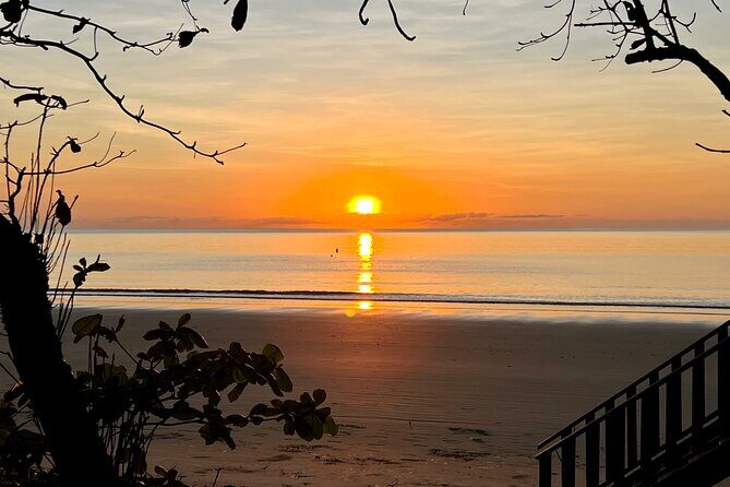 Hartleys Crocodile Adventures Plus Return Port Douglas Transfers - A Practical Guide to the Hartleys Crocodile Adventures Shuttle