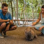 Hartley's Crocodile Adventures: Zootastic 5 + Entry Ticket - Breaking Down the Experience: What to Expect
